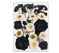 Marca única de lectura de libro de flores prensadas de hojas de árbol auténticas en diseño negro clásico para lectores y coleccionistas, marcadores de hojas hechos a mano