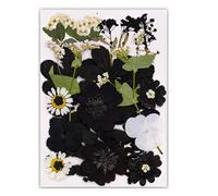 Marca única de lectura de libro de flores prensadas de hojas de árbol auténticas en diseño negro clásico para lectores y coleccionistas, marcadores de hojas hechos a mano