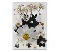 Marca única de lectura de libro de flores prensadas de hojas de árbol auténticas en diseño negro clásico para lectores y coleccionistas, marcadores de hojas hechos a mano
