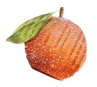 Marcapáginas con forma de fruta y hojas adorables, materiales seguros, soporte para páginas para libros, mejora la experiencia de lectura y decoraciones, soporte para marcapáginas
