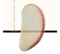 Marcapáginas de acrílico transparente, bonitos suministros escolares de frutas transparentes, pequeños marcadores para leer mujeres, hombres, estudiantes, lectores, profesores, aulas, oficinas