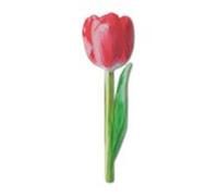 Marcapáginas flores tulipán rosa - Catwalk