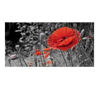 Marco CAMPO DE AMAPOLAS G2516 PINTDECOR