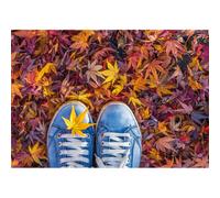 Marco COLORES DE OTOÑO G2982 PINTDECOR