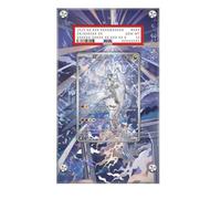 Marco compatible con Pokémon N's Reshiram 167/159 - Destined Rivals - Estuche protector de tarjetas de arte extendido Pokémon PSA, compatible con PSA / CGC / TAG