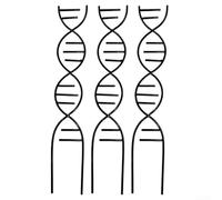 Marco de escalada inspirado en el ADN para plantas en maceta para fomentar el crecimiento vertical de especies enredaderas en interiores y exteriores (negro)