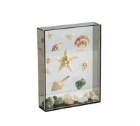 Marco de fotos acrílico para decoración del hogar y el jardín, caja de exhibición transparente de 26 x 31 cm con diseño hueco, escaparate de arte DIY en azul/verde/gris/naranja/transparente (gris)