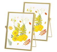 Marco de Fotos de Cristal para Flores Prensadas: PRITOK 2 Piezas Marco de Fotos de Metal Dorado, Marco de Fotos de Metal Vintage para Flores Prensadas, Flores Obra Cuadro Display Holder 15 x 20 cm