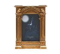 Widdop and Co Warner Bros Harry Potter Alumni Marco de fotos dorado Hogwarts