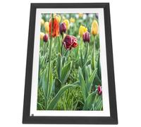 Marco de Fotos Digital con Pantalla Táctil WiFi de 15,6 Pulgadas, Carcasa de Madera, Marco de Fotos WiFi de Definición con Memoria 32G, para Andro e iOS (Enchufe de la UE)