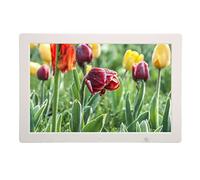 Marco de Fotos Inteligente, Música de Fondo de Inducción del Cuerpo Humano, Marco de Fotos Digital con Pantalla LED HD de 15,4 Pulgadas para el Hogar (Enchufe Europeo)