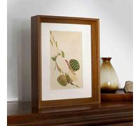 Marco de fotos, marco madera transparente doble cara for exhibición muestras, varios tamaños multicolores(Dark Walnut 2,8 inches)