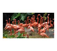 Marco FLAMINGOS G1538 PINTDECOR