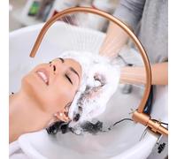 Marco Para Equipo Spa Para La Cabeza, DiseñO Arco 180° Y 21 Orificios De Salida De Agua, Bomba De Agua Y FijacióN De Metal, Accesorios Para Camilla De Champú Para Tratamiento De Cabeza