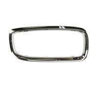 Marco, parrilla de radiador BLIC 6502-07-0075998P