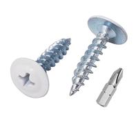 Marcopol Paquete 150 piezas tornillos madera pintados 4,2 x 19 mm, tornillos metal autorroscantes, cabeza armadura mod Phillip, cabeza oblea (150, blanco puro RAL 9010)