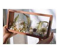 Marcos de fotos de acrílico, 26X13 cm Clear Double Sided Picture Frame, Desktop Postcard Display Commemorative photo Collection frame Animal and plant herbarium frame (Chocolate)