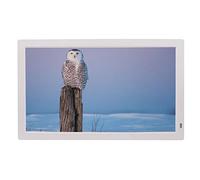 Marcos de Fotos Digitales La Pantalla IPS de Alta definición de 21,5 Pulgadas se Puede Montar en la Pared de la máquina de Publicidad del supermercado Reproductor de 1080P Regalo Decorativo