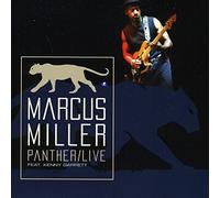 Marcus Miller - Panther (Live)