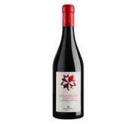 Maremma Toscana DOC Mazzei Tenuta Belguardo Ciliegiolo 2024