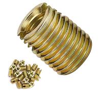 Marhynchus 20 piezas insertos de rosca 302 accesorios de hardware de inserción de rosca autorroscante de acero al carbono(Interior M6 * 1,0 Exterior M10 * 1,5)