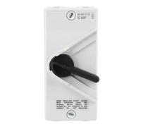 Marhynchus Interruptor de Desconexión de Motor Cerrado, 63A 2 IP66 Caja de Disyuntores Industrial Resistente Al Agua con Orificios de Salida de Entrada de Cable, para Generador, Barco,