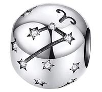 Maria Fonte - Colgantes con dijes de Cuentas Que representan Signos del Zodiaco en Plata de Ley 925, Compatible con Las Marcas más Populares de Pulseras y Collares. (Aries: 21/03-19/04)