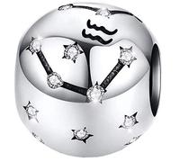 Maria Fonte - Colgantes con dijes de Cuentas Que representan Signos del Zodiaco en Plata de Ley 925, Compatible con Las Marcas más Populares de Pulseras y Collares. (Acuario: 20/01-18/01)