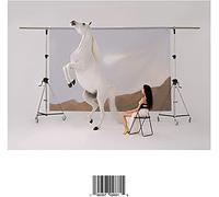 María José Llergo - Sanación [Vinilo]