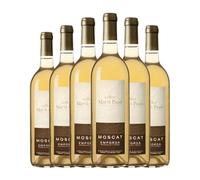 Marià Pagès Moscato Empordà 75 cl Vino generoso (Caja de 6 Botellas de 75 cl)