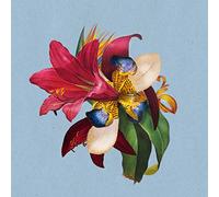 Maribou State - Feel Good Ft Khruangbin Maribou State 12 [Vinilo]