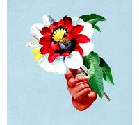 Maribou State - Kingdoms in Colour