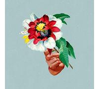 Maribou State - Kingdoms in Colour (Vinyl Color) [Vinilo]