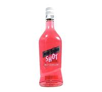MARIE BRIZARD - Liqueur watermelon Briz'art 17° 70cl