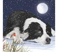 Marie Curie Charity Cool Collie - Tarjetas de Navidad (10 unidades, con sobres, diseño de perro y petirrojo en una escena nocturna nevada)