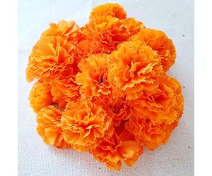 Marigold Flowers Heads Bulk, Silk Artificial Flowers for Diwali,Indian Festival, DIY Marigold Garland Day of The Dead Decorations (Orange)