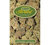Marijuana Harvest: How to Maximize Quality and Yield in Your Cannabis Garden