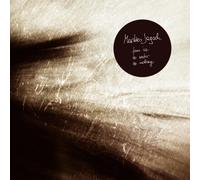 Marilies Jagsch - From Ice to Water to Nothing [Vinilo]