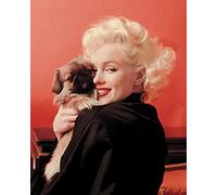 Marilyn Monroe Love - Lienzo (40 x 50 cm, poliéster, 40 x 50 cm), Multicolor