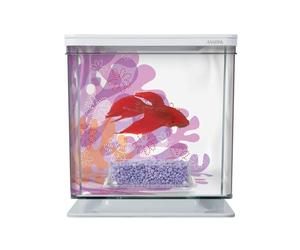 Marina 13355 Kit Bettera Flower