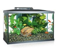 Marina Acuario 38 L – Kit con Iluminación LED, Transparente – Modelo 15256