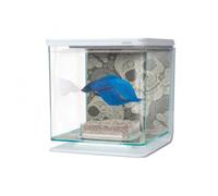 Marina Betta Kit - Craneos