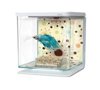 Marina Betta Kit - Fireworks