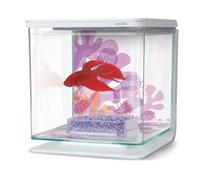 Marina Betta Kit - Flower