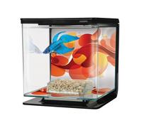 Marina Betta Kit - Sun Swirl