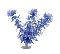 Marina Plantas con Ventosa Hornwort, 12.5 cm