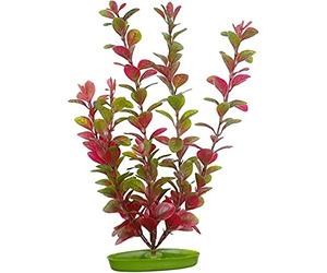 Marina Plantas Plásticas Aquascaper Grandes Ludwigia Roja, 30 cm