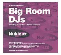 Mario Piu & Nick Sentience - Big Room Djs