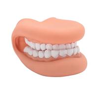 Marioneta de Boca de 28 Dientes con Lengua, Tratamiento de Tarjetas de Señales de Sonido de Habla Bjorem de Silicona, Modelo de Dientes de Demostración para Enseñanza de Niños