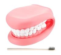 Marioneta de Boca - Modelo de Dientes | Marionetas dentales realistas de PVC, Herramienta de lengua móvil del habla para la educación sobre el cepillado de la casa, el jardín de infantes